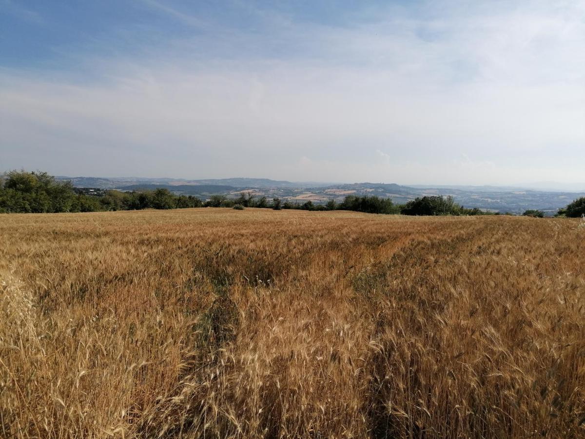 B&B Capo Le Vigne Sirolo Bagian luar foto